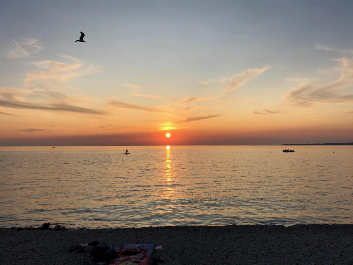 Shimunelka Peroj Bagian luar foto